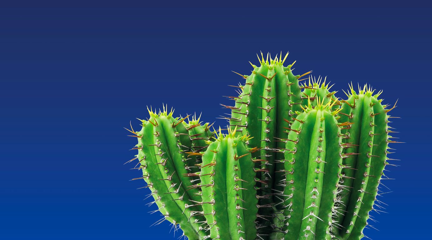 Trescal biedt naast de bekende tactiele 3D meetbanken nu ook optisch 3D meetwerk aan.